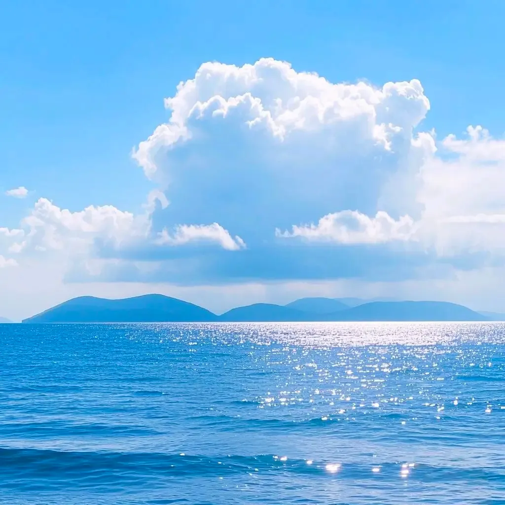 Hoàng Hữu Phước avatar